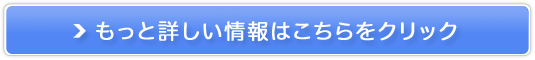 ߐ300UPX~OWFIyorEH[^[S[hz̔TCg